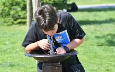 O firmă cu un angajat, plătită regește în Sectorul 6 pentru cișmele