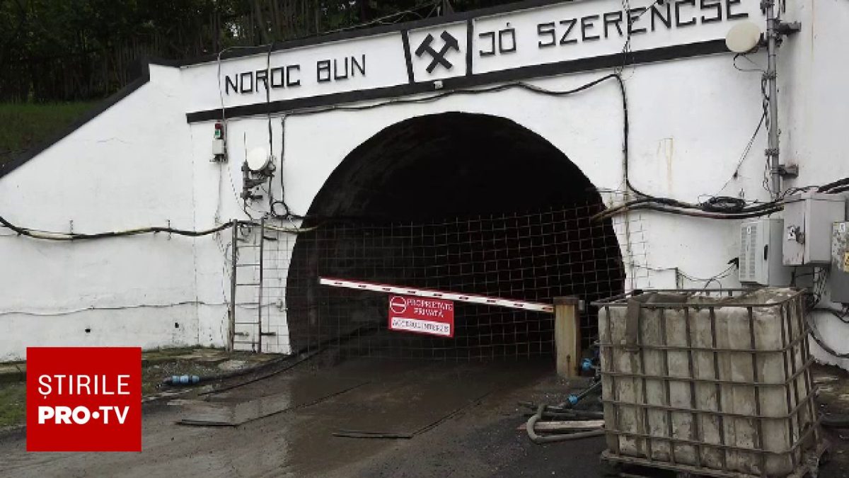 Castorii, cauza dezastrului de la Praid: Un deputat USR face dezvăluiri înfricoșătoare