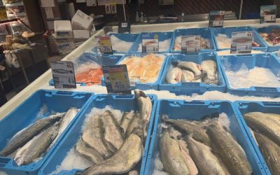 Garda Națională de Mediu urmărește traseul peștelui de la sursă până pe masa românilor și aplică amenzi de 361.700 lei