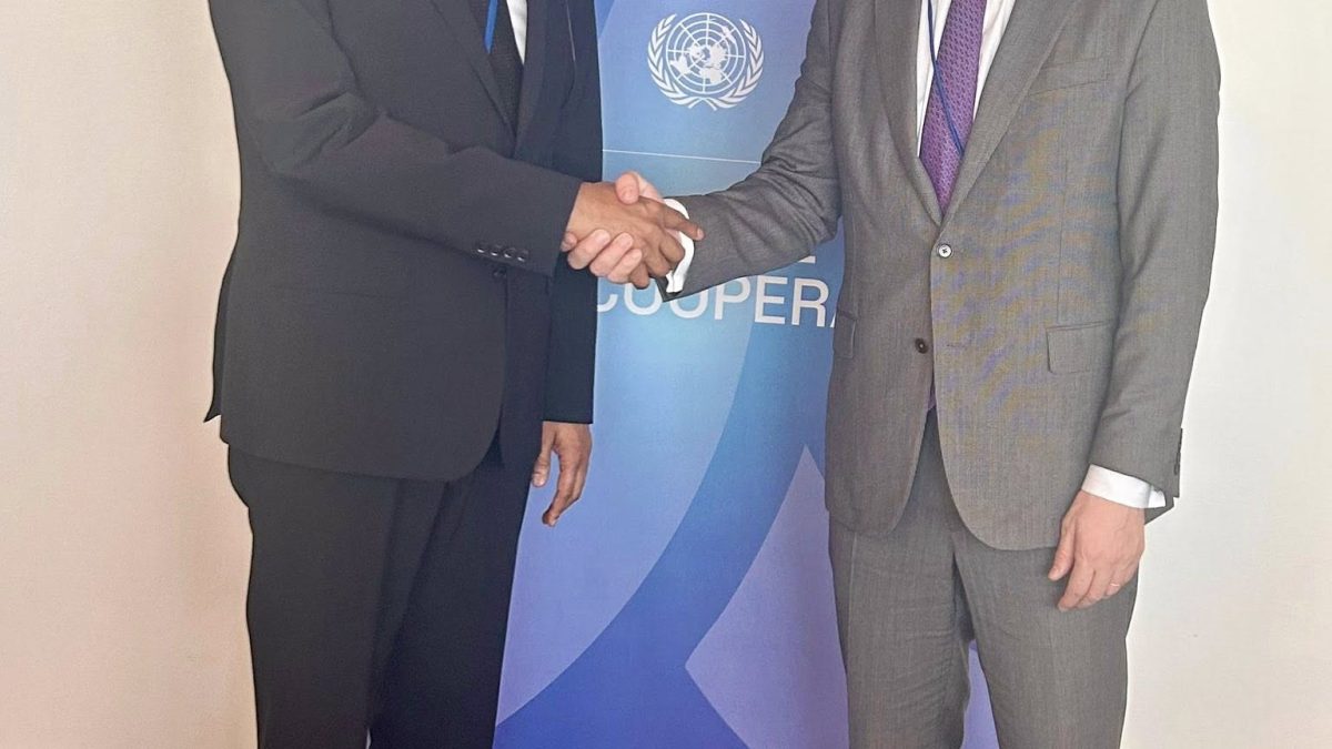 Amande... întâlnire la ONU: Ce s-a discutat cu oficialii de la Națiunile Unite