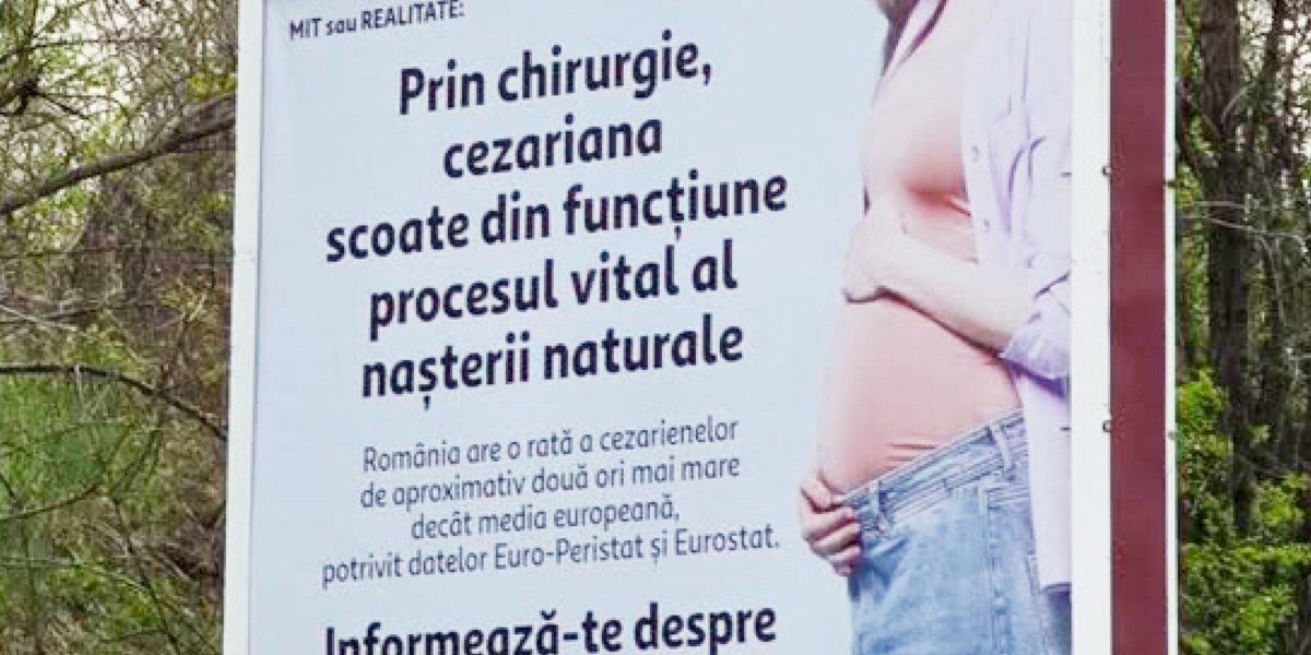 Cynthia Păun, scandal cu panouri controversate: Senatoarea cere intervenție urgentă în 2026