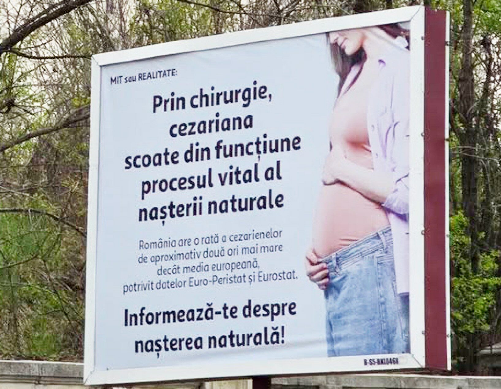 Cynthia Păun, scandal cu panouri controversate: Senatoarea cere intervenție urgentă în 2026