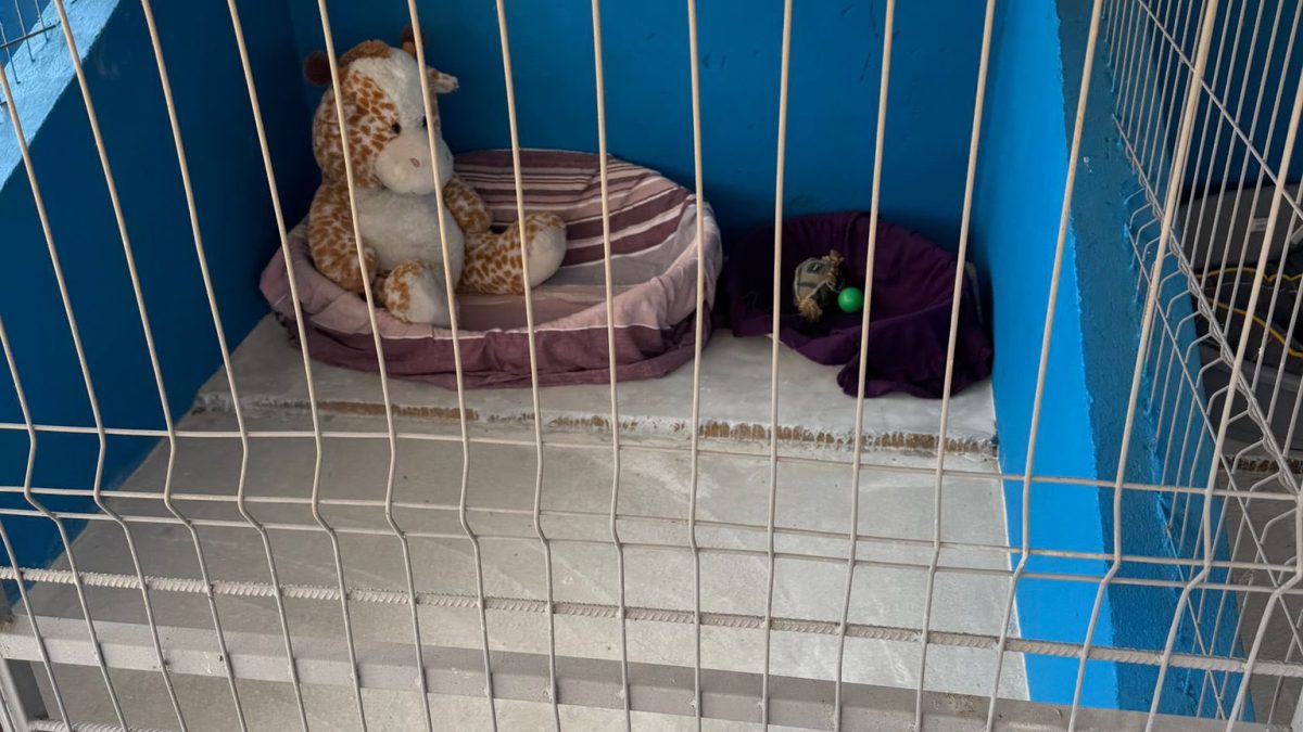 Centru public de adopții canină, inaugurat în Ilfov