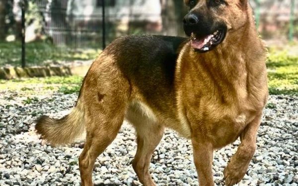 Cum își petrec românii duminica? Sondaj-fulger în București și în țară