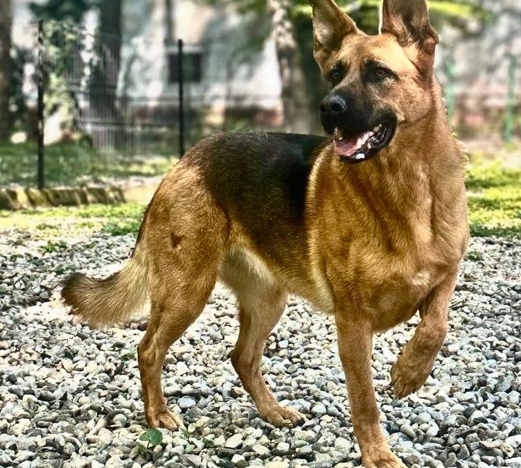 Cum își petrec românii duminica? Sondaj-fulger în București și în țară