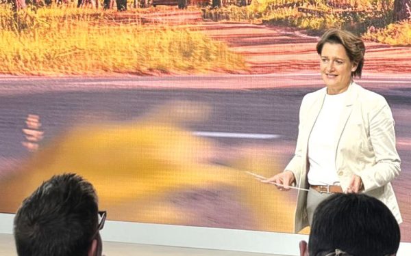 România, paralizată politic, în timp ce Ungaria investește. Dacia, cu ochii spre Turcia