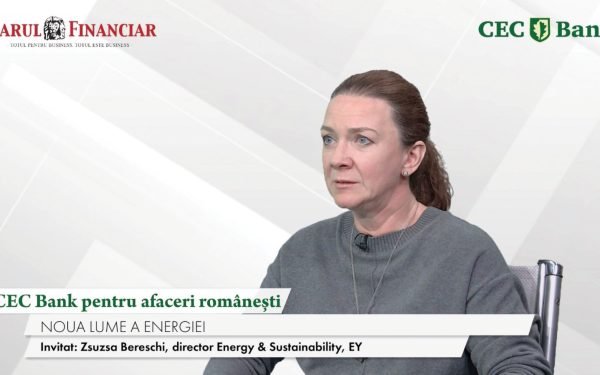 Banca CEC pariază pe afacerile românești. Zsuzsa Bereschi: Resursele, un atu, dar...