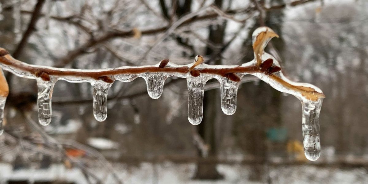 Autorizație pentru o comunicare mai eficientă sau o tactică de marketing? În ultima vreme, tot mai mulți utilizatori devin victime ale mesajelor nesolicitate care promit informații utile, dar ascund, de fapt, intenții comerciale