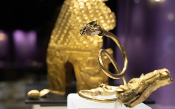 Olandezii cer 5 ani de pușcărie pentru jaful Tezaurului Dacic, mama tâlharului șocată