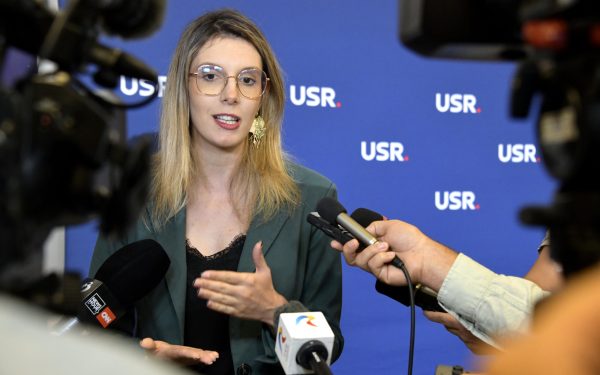 Diana Buzoianu: Ordonanță de urgență pentru stoparea tăierilor ilegale de arbori