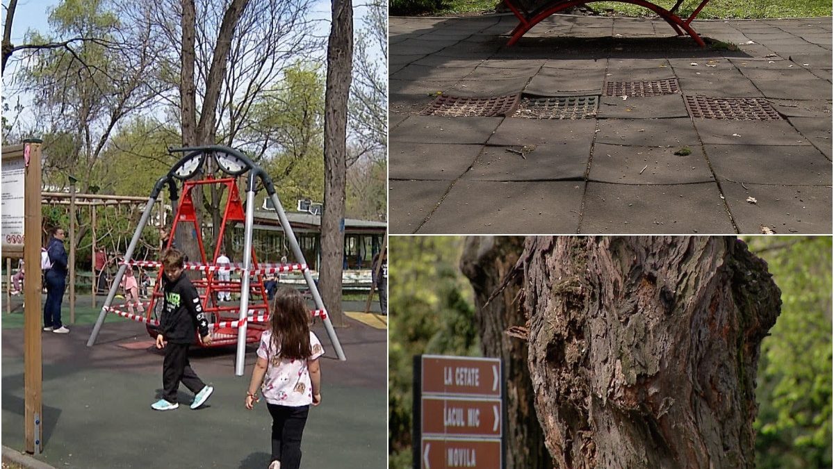Pericol ascuns în parcurile din București: "Se poate întâmpla oricând rău"