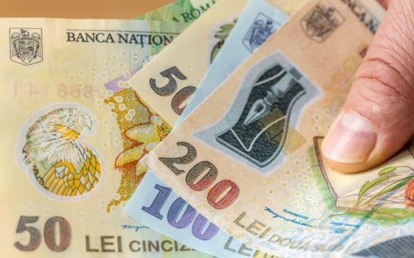 Banca Națională, anchetă amplă: 12.000 de gospodării, analizate financiar