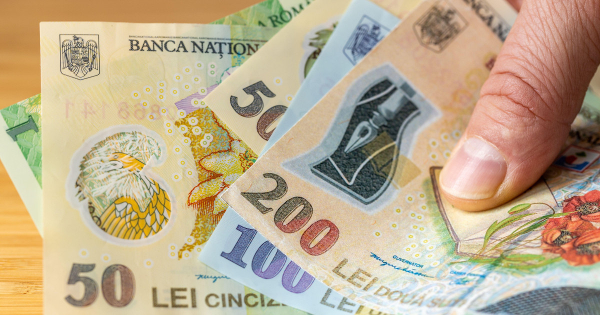 Banca Națională, anchetă amplă: 12.000 de gospodării, analizate financiar