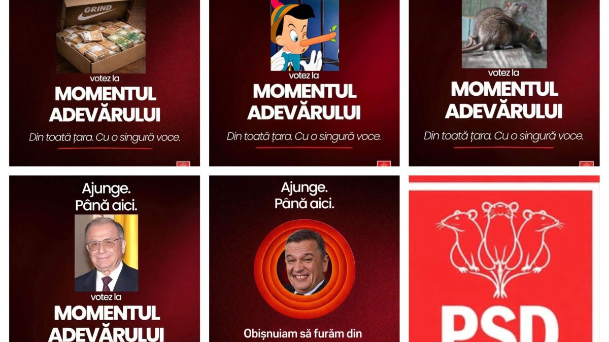 PSD, plângeri la Parchet și CNCD împotriva creatorilor de meme-uri cu șobolani
