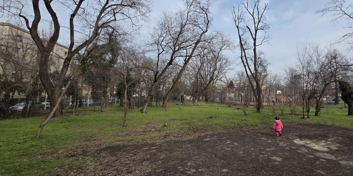 Asociația Părinți de Cireșari semnalează blocaje administrative și lipsa de reacție a autorităților în procesul de reabilitare a Bazei Sportive Cireșarii, situată în sectorul 1 al Bucureștiului