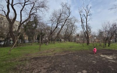 Asociația Părinți de Cireșari semnalează blocaje administrative și lipsa de reacție a autorităților în procesul de reabilitare a Bazei Sportive Cireșarii, situată în sectorul 1 al Bucureștiului