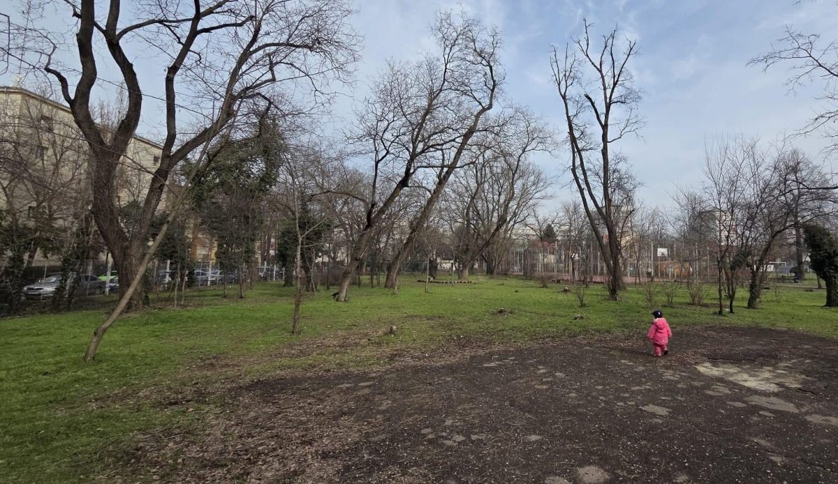 Asociația Părinți de Cireșari semnalează blocaje administrative și lipsa de reacție a autorităților în procesul de reabilitare a Bazei Sportive Cireșarii, situată în sectorul 1 al Bucureștiului
