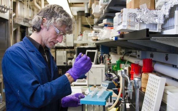 BofA reduce ținta de preț pentru PFIZER: Acțiunile, în cădere liberă?