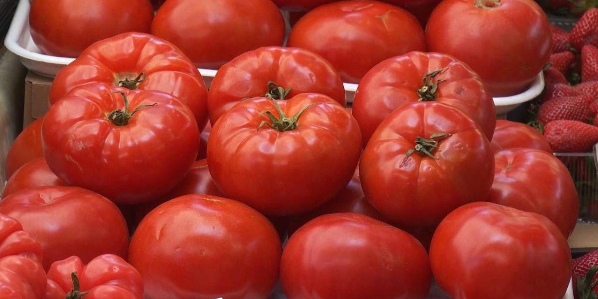 Prețurile roșiilor românești din piețe în aprilie 2026 îi șochează pe cumpărători: „Aș vrea două felii”