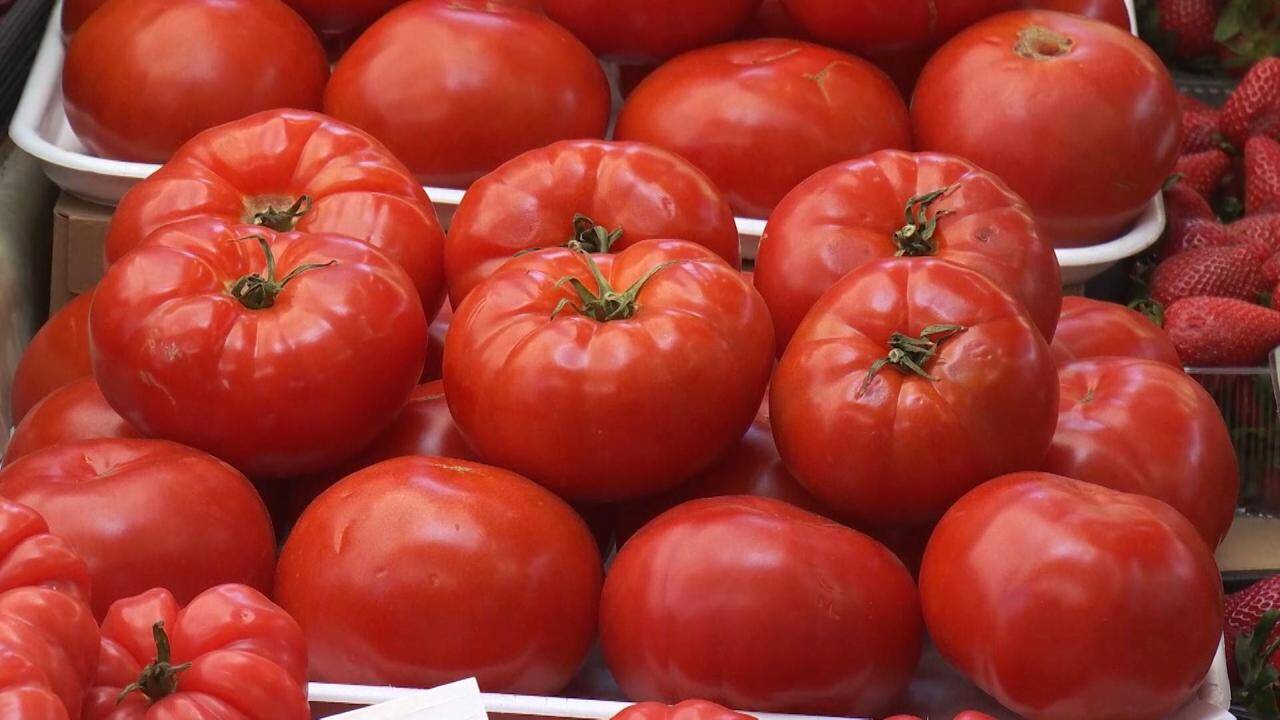 Prețurile roșiilor românești din piețe în aprilie 2026 îi șochează pe cumpărători: „Aș vrea două felii”