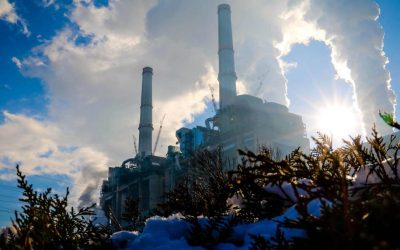 Aproximativ 600 de angajați ai Complexului Energetic Oltenia (CEO) au depus cereri de șomaj după ce contractele lor de muncă pe durată determinată au expirat la începutul lunii aprilie