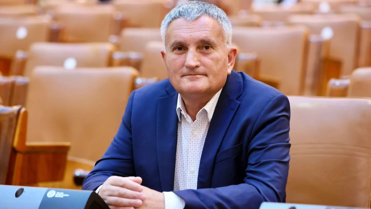 Deputat PNL, ordin de mobilizare: Acuzații grave de jocuri politice cu rezerviștii din România