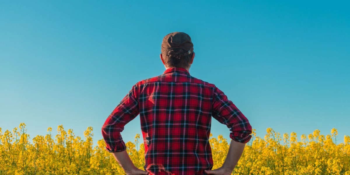 Manosphere, un pericol real? Politicieni britanici cer măsuri pentru bărbați