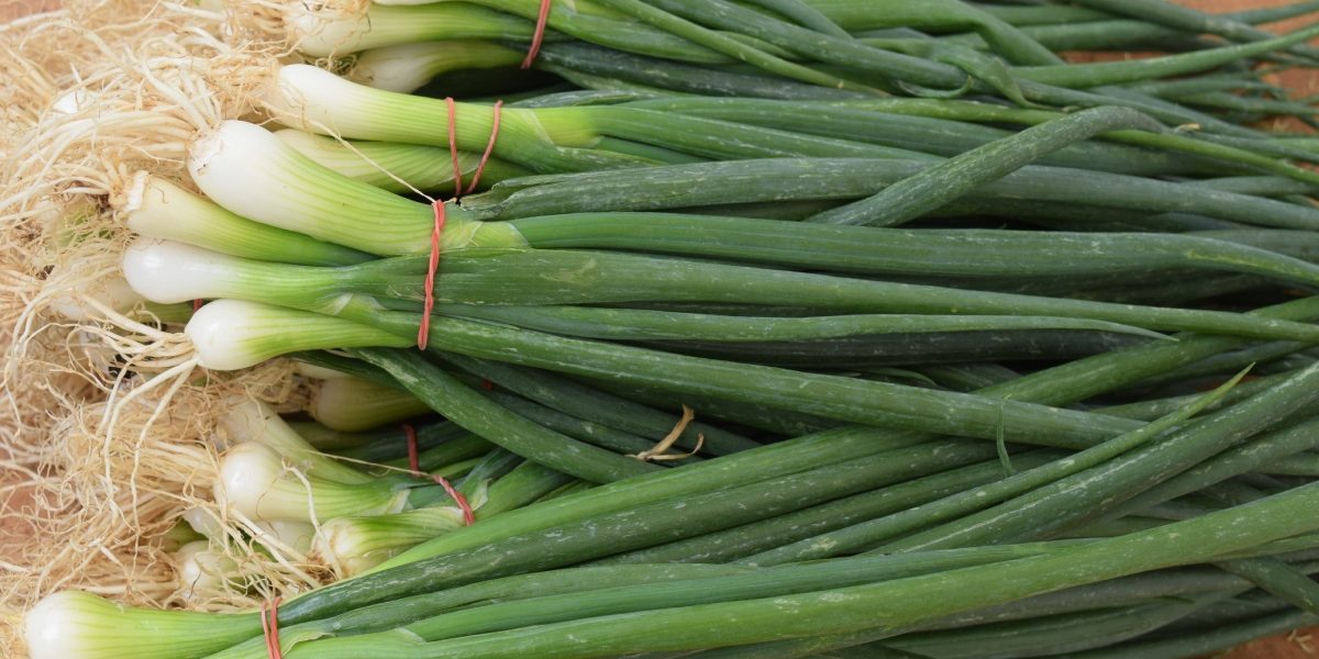 Cum să crești ceapă verde în pahar, fără pământ și fără efort Poți avea mereu la îndemână ceapă verde proaspătă, fără să fie nevoie să o cari din magazin sau să o plantezi într-o grădină