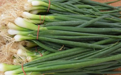 Cum să crești ceapă verde în pahar, fără pământ și fără efort Poți avea mereu la îndemână ceapă verde proaspătă, fără să fie nevoie să o cari din magazin sau să o plantezi într-o grădină