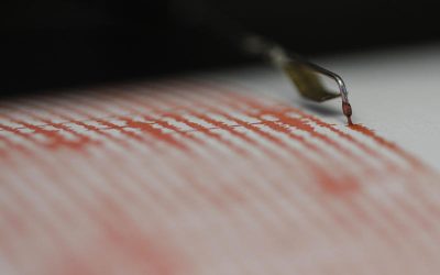 Un cutremur de magnitudine medie a zguduit miercuri dimineață zona Vrancea Un seism cu magnitudinea de 4 grade pe scara Richter a avut loc miercuri dimineață în zona seismică Vrancea, județul Buzău