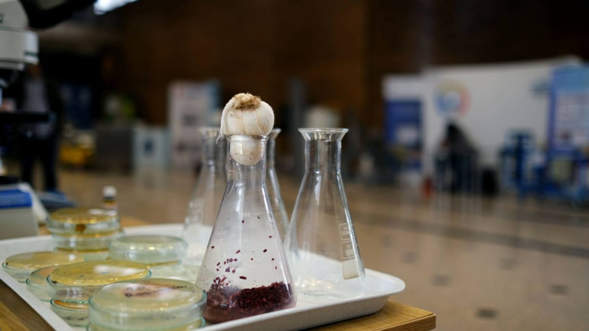 Biofest 2026: Politehnica, laboratorul mâncării viitorului, sfida criza