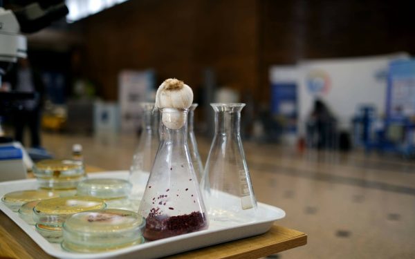 Biofest 2026: Politehnica, laboratorul mâncării viitorului, sfida criza