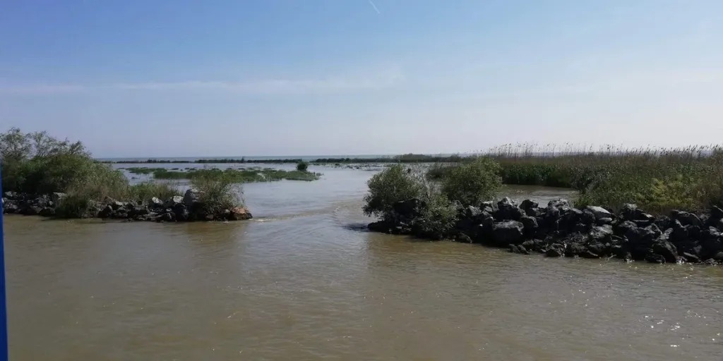 Din 9 Aprilie 2026, pescuitul în Delta Dunării va fi interzis, conform unui nou ordin emis de autorități