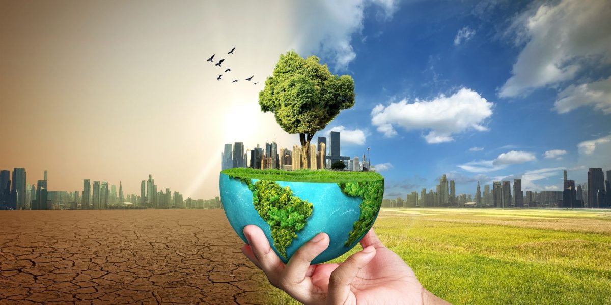 Un nou studiu publicat în revista Molecular Biology and Evolution arată că efectele schimbărilor climatice se resimt de-a lungul mai multor generații, accelerând potențial procesul evoluției în lumea animală