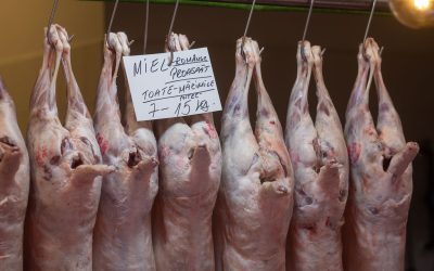 Inspectorii sanitari-veterinari au aplicat amenzi de peste două milioane de lei în urma controalelor efectuate în preajma sărbătorilor pascale