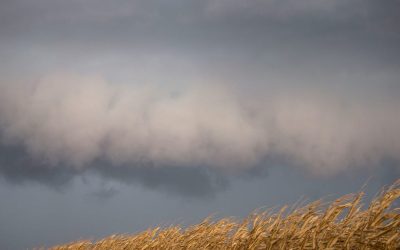 Vânt puternic și riscul de tornadă în centrul Illinois, inclusiv în zona Springfield, activitățile de pregătire pentru sezonul de primăvară devin mai stringente, pe măsură ce meteorologii avertizează asupra unor condiții meteorologice severe pentru data de 2 aprilie