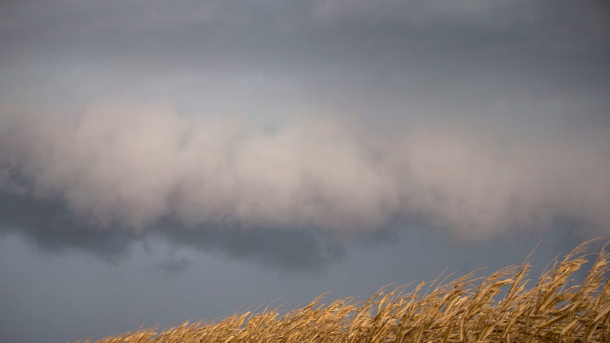 Vânt puternic și riscul de tornadă în centrul Illinois, inclusiv în zona Springfield, activitățile de pregătire pentru sezonul de primăvară devin mai stringente, pe măsură ce meteorologii avertizează asupra unor condiții meteorologice severe pentru data de 2 aprilie