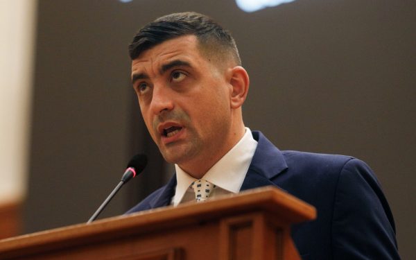 Simion, cu pretenții mari: AUR cere LEGILOR VERDE în Parlament!