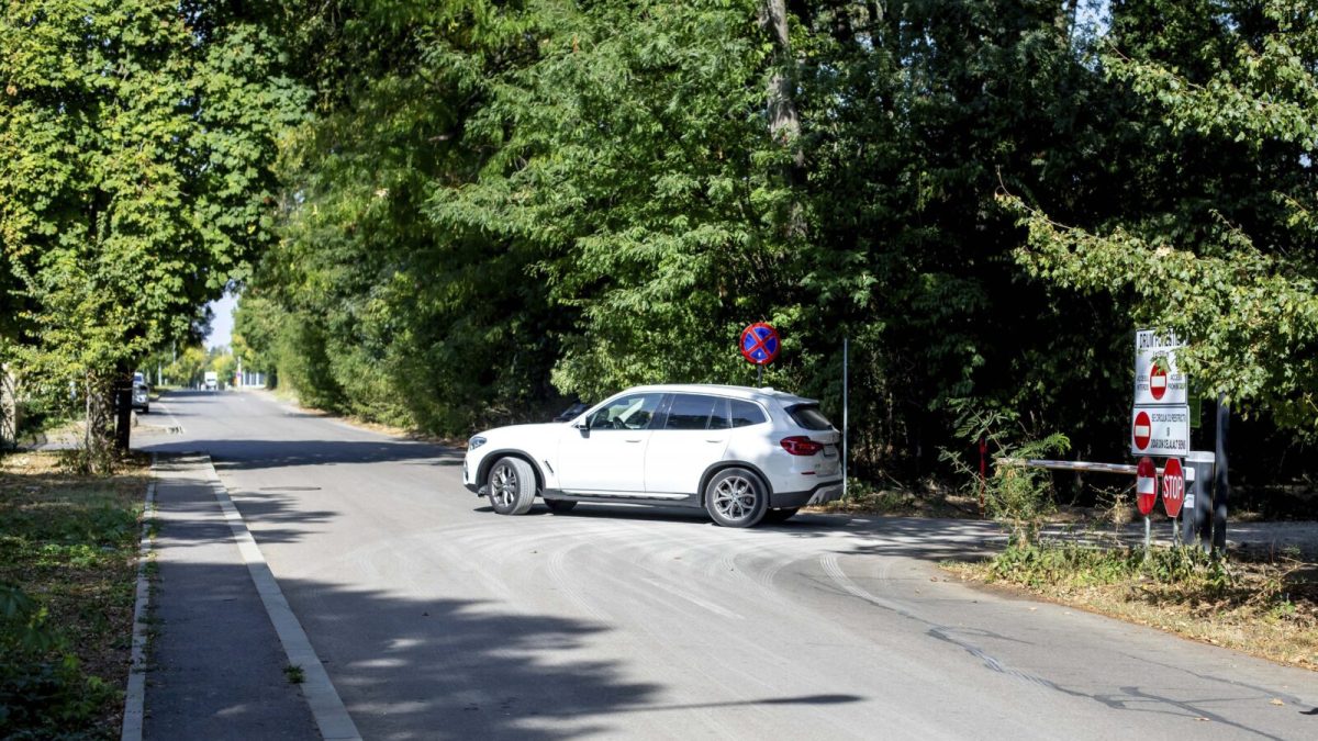 Închiderea drumului din Pădurea Băneasa: Federația Greenfield contestă măsura