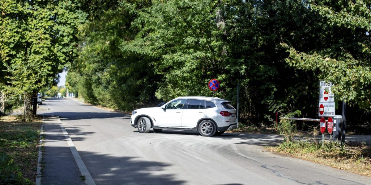 Romsilva taie accesul auto în Pădurea Băneasa: Ce se-ntâmplă cu Greenfield