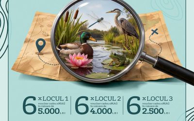 Veolia România promovează biodiversitatea în cadrul proiectului național „Natura dintre Ape”