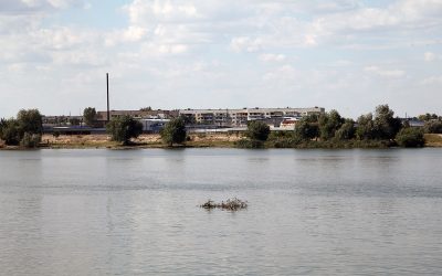 Alertă RO-Alert în Tulcea după atacul cu drone de pe granița cu Ucraina Marți dimineața, locuitorii din Tulcea au primit un mesaj RO-Alert referitor la un incident care a avut loc în apropierea zonei de frontieră cu Ucraina