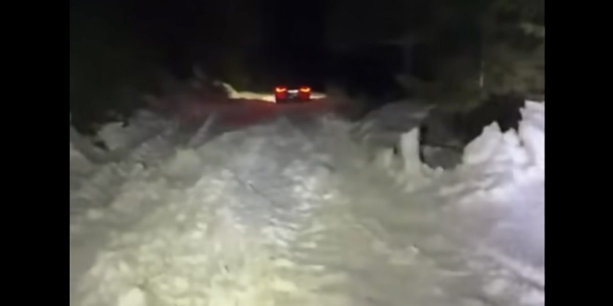 Bărbat și fiul său, blocați în zăpadă în Cheile Oltețului, în Noaptea Învierii