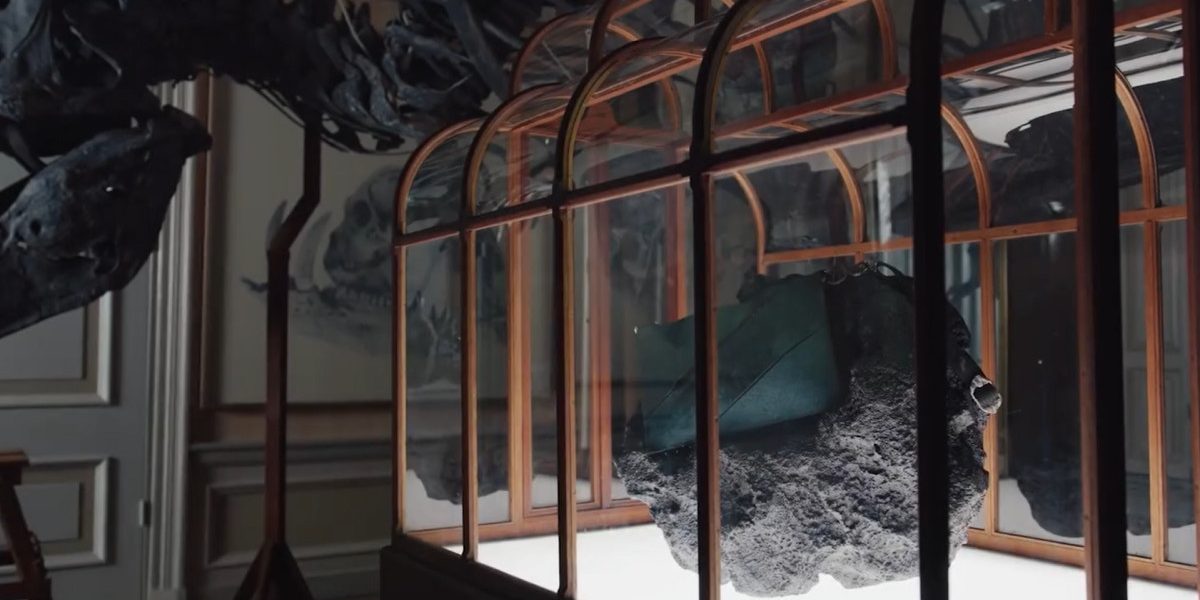 Oamenii de știință și designerii au prezentat joi o geantă de mână realizată din colagen derivat din fosile de Tyrannosaurus rex, o creație unică concepută pentru a demonstra potențialul pielii obținute în laborator