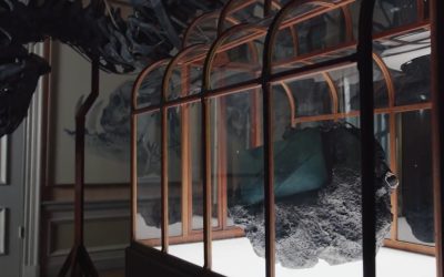 Oamenii de știință și designerii au prezentat joi o geantă de mână realizată din colagen derivat din fosile de Tyrannosaurus rex, o creație unică concepută pentru a demonstra potențialul pielii obținute în laborator