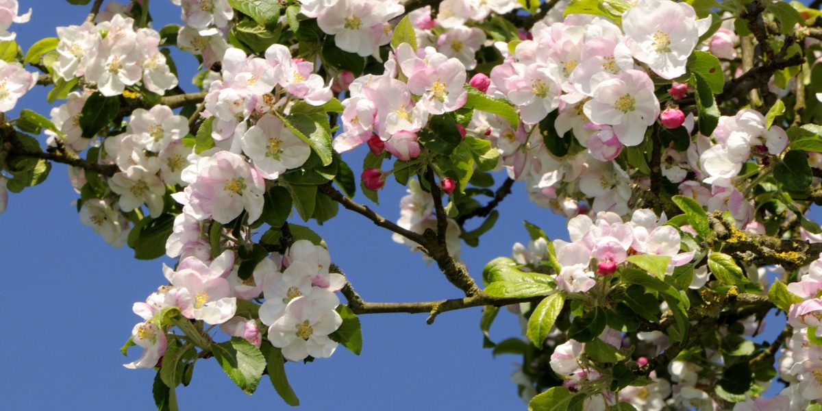 Vremea de Paște în zonele României, conform prognozei ANM