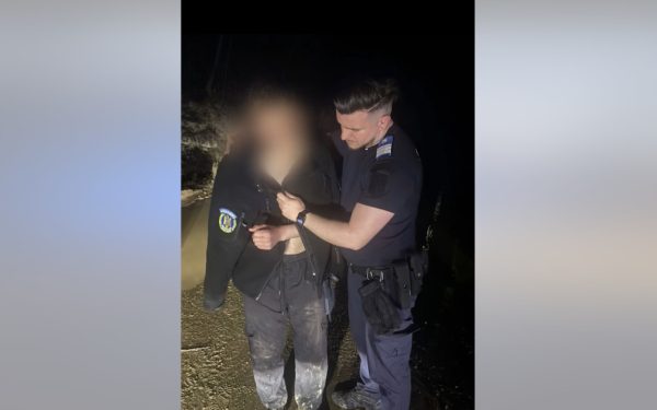 Fugă dramatică de urs: Tânăr scăpat de moarte cu ajutorul Jandarmeriei