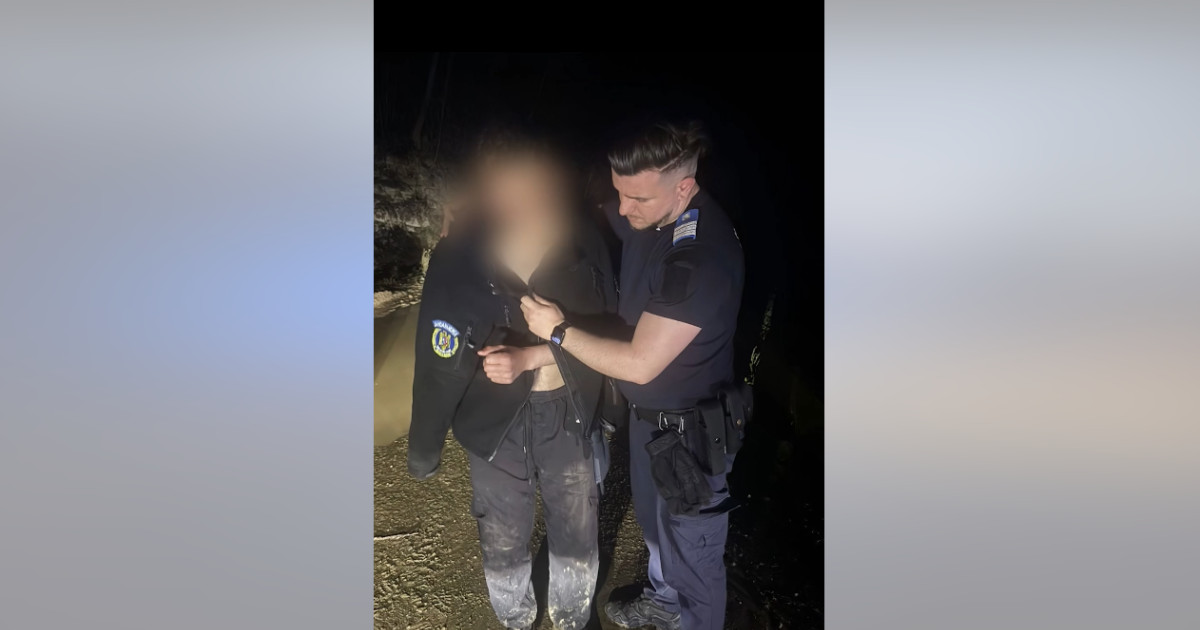 Fugă dramatică de urs: Tânăr scăpat de moarte cu ajutorul Jandarmeriei