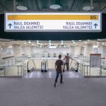 București: Metroiile surprinzătoare, redate ca pisici. „Fiecare are o poveste”