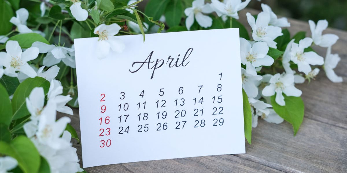 Pe data de 5 aprilie 2026, creștinii ortodocși din întreaga țară sărbătoresc Duminica Floriilor, o zi cu semnificație spirituală profundă și tradiții bogate